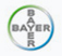 Bayer